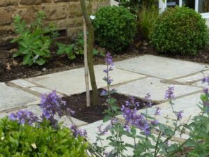 New front garden with paving and new planting