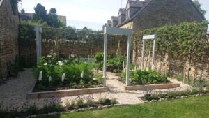 New vegetable garden in Churchill with newly planted pleached trees