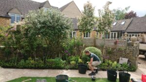 Planting trees and plants in Little Rissington