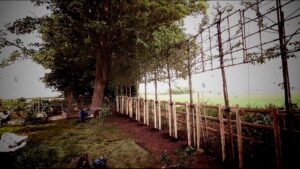 Chipping Norton Garden Company