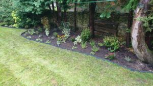 New flowerbeds and planting in Salford