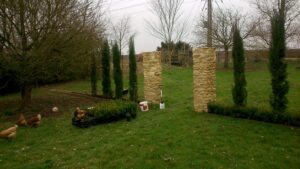 Planting feature cypress trees under planted with box hedges and alliums in Charlbury