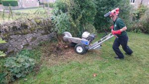 Grinding away stumps in Chilson Oxfordshire