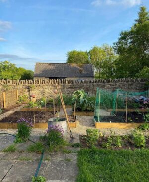 Our vegetable garden one year on