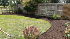 We extended the lawn onto over four tonnes of topsoil to raise the level and topdressed the borders with compost. Shipton under Wychwood.