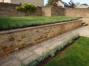 New Lavender Hedge Over Norton