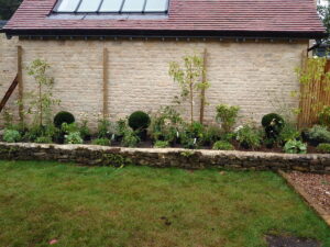 Planting spaced out and ready to plant